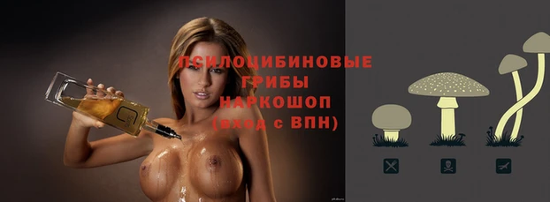 таблы Новокубанск