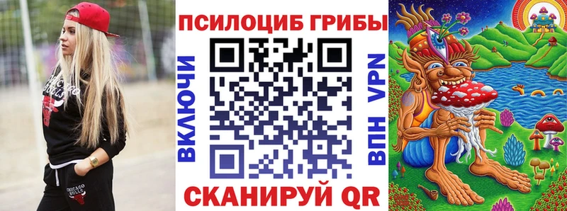 Купить  Череповец  Псилоцибиновые грибы MAGIC MUSHROOMS 