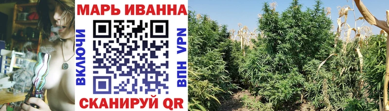 Купить закладки  Череповец  Бошки марихуана семена 